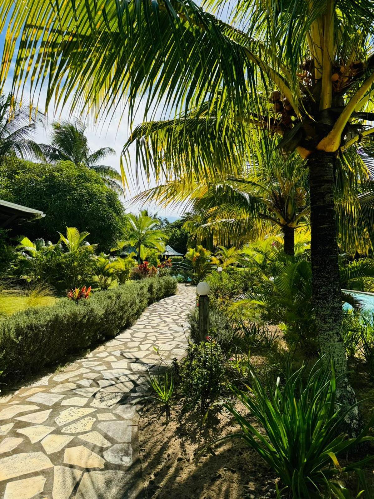 Cape Garden Studio كاب مالهيريوكْسْ المظهر الخارجي الصورة